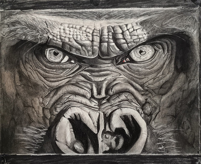 Gorilla  on LockDown Print